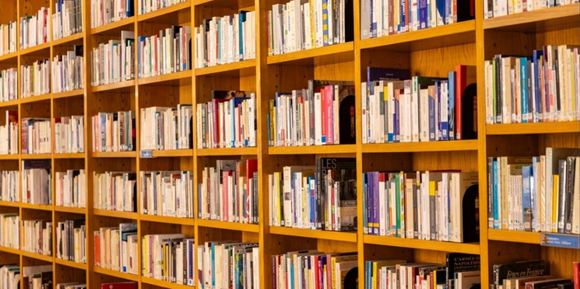 Servicio de traducción y interpretación